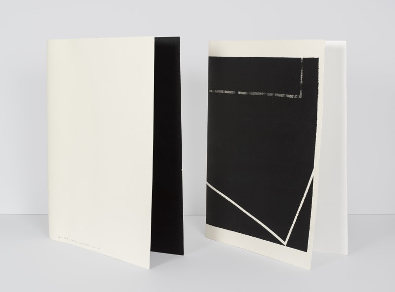 Maria Nordman For A New City...Oaks, 1992