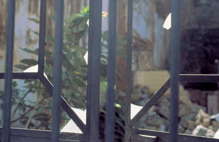 Gabriel Orozco Ex-Vitral, 2000