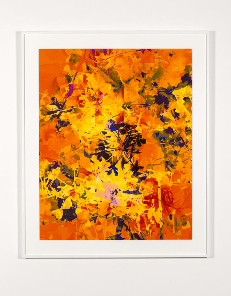 James Welling #1, 2016