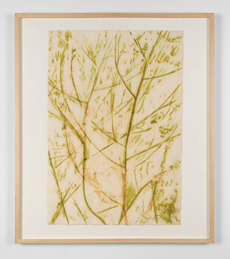 Giuseppe Penone Green as a Tree, 1982