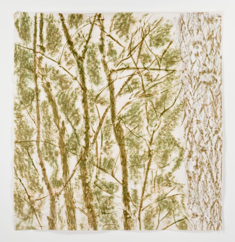 Giuseppe Penone Verde del bosco, 1986