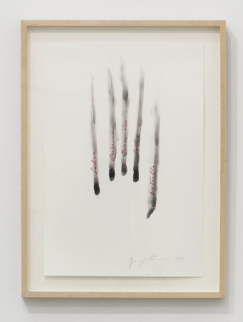 Giuseppe Penone Salice, Ontano, Frassino, Sorbo, Betulla, 1992