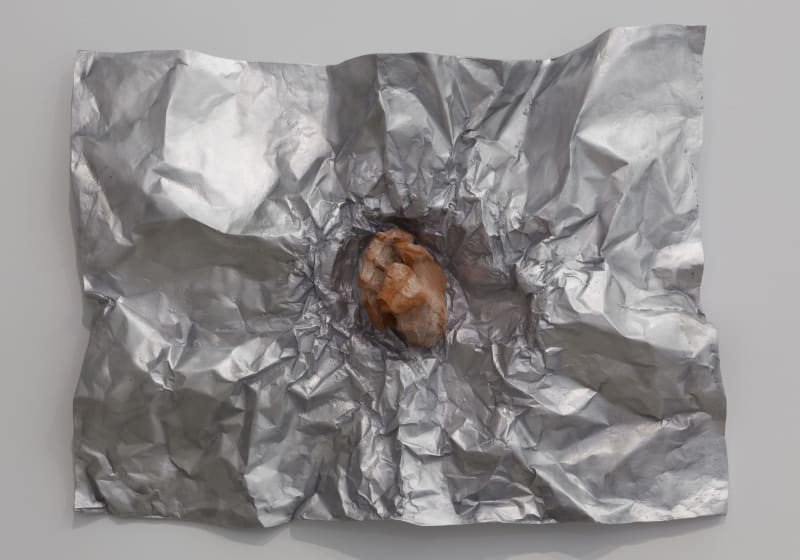 Giuseppe Penone Avvolgere la terra (To Enfold the Earth) (22), 2014