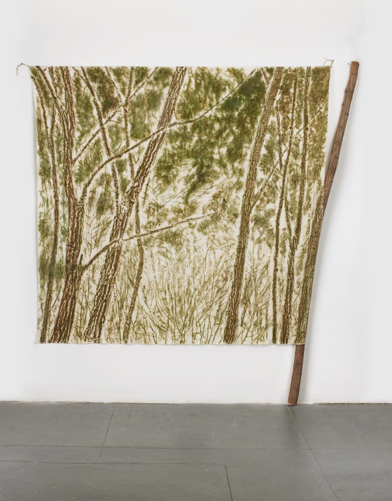 Giuseppe Penone Verde del Bosco, 1983