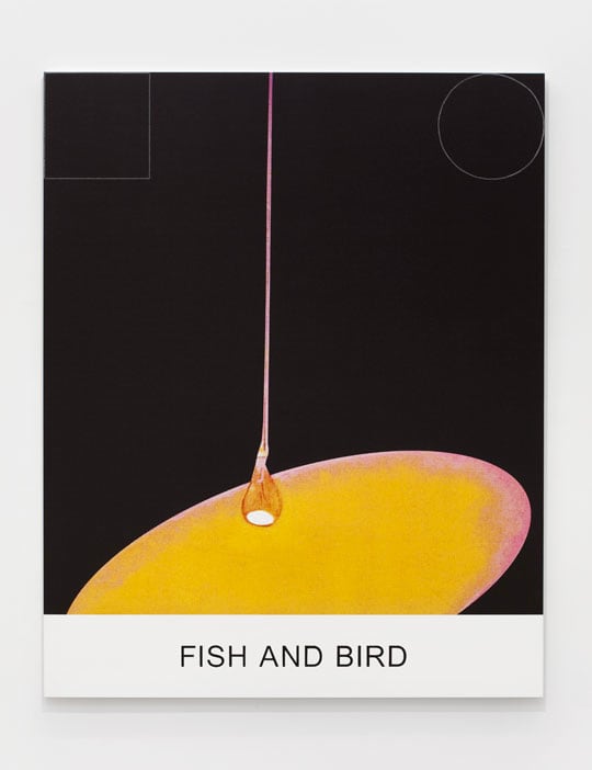 John Baldessari Double Play: Fish and Bird, 2012