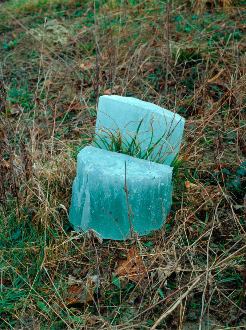 Giuseppe Penone Split tree stump, 1995