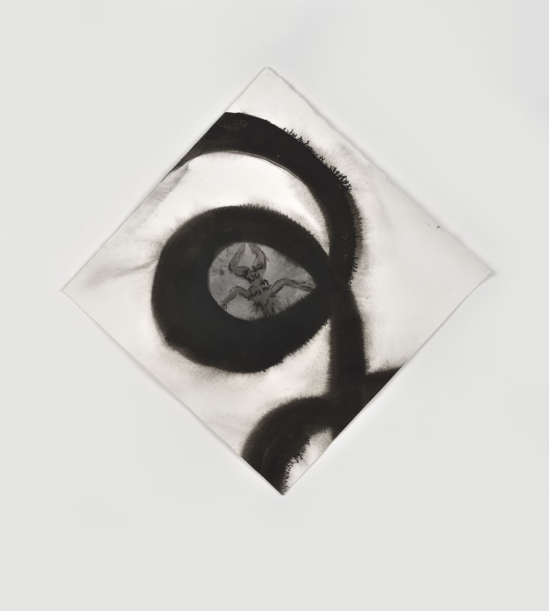 Annette Messager La Volute du désir (The Volute of Desire), 2016