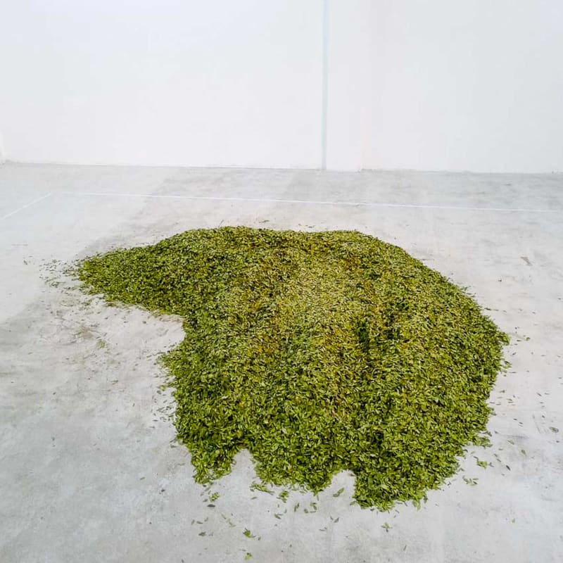 Giuseppe Penone Soffio di foglie (Breath of Leaves), 1979-2015