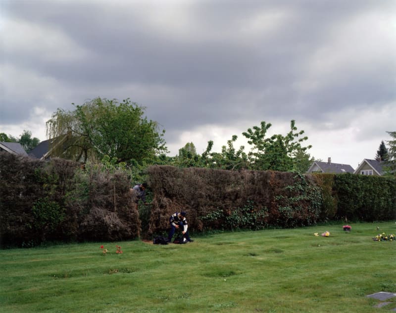 Jeff Wall Boys cutting through a hedge, Vancouver, edition 1, 2003