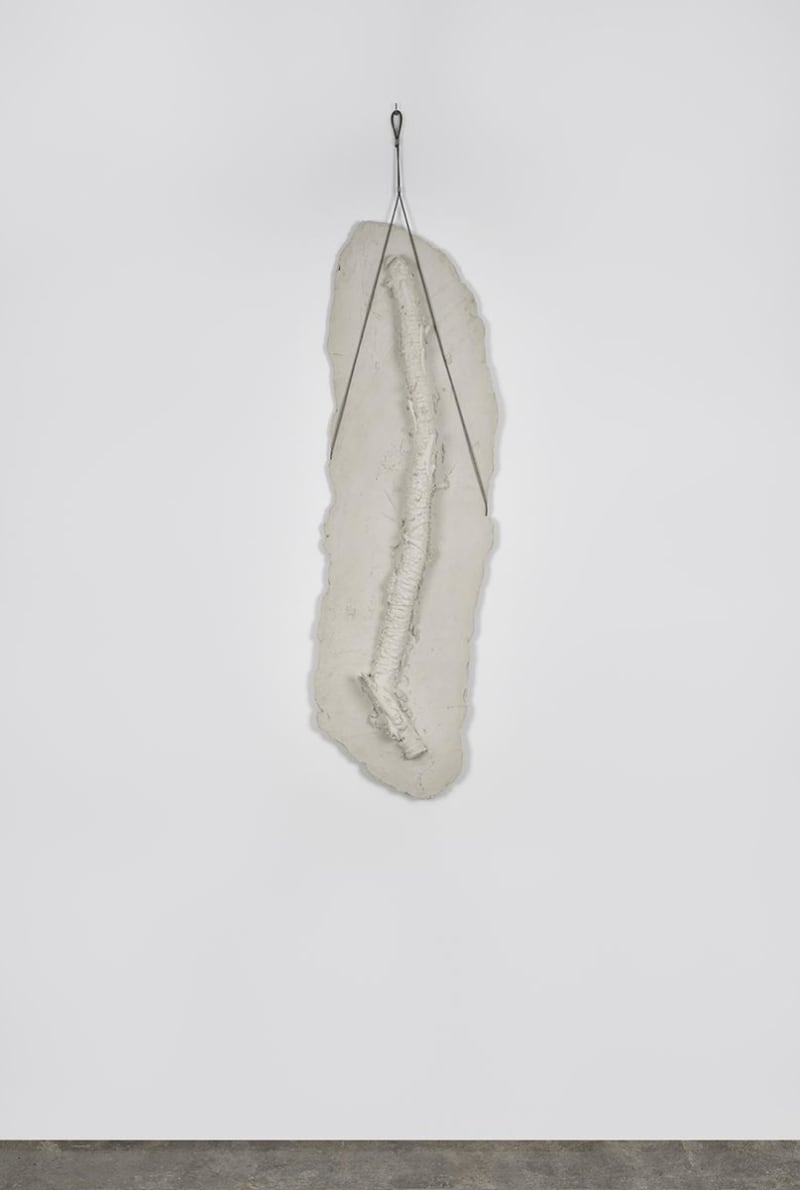 Giuseppe Penone Germinazione (Germination), 2005