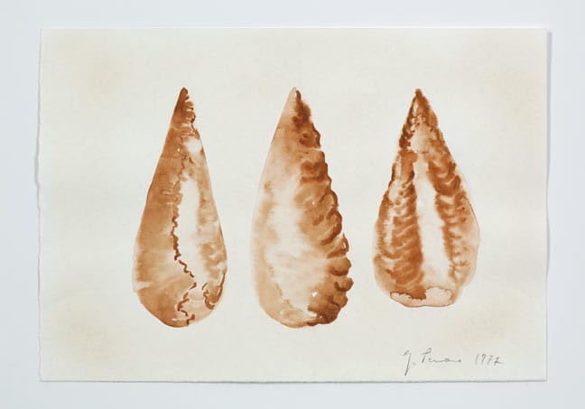 Giuseppe Penone Untitled, 1977