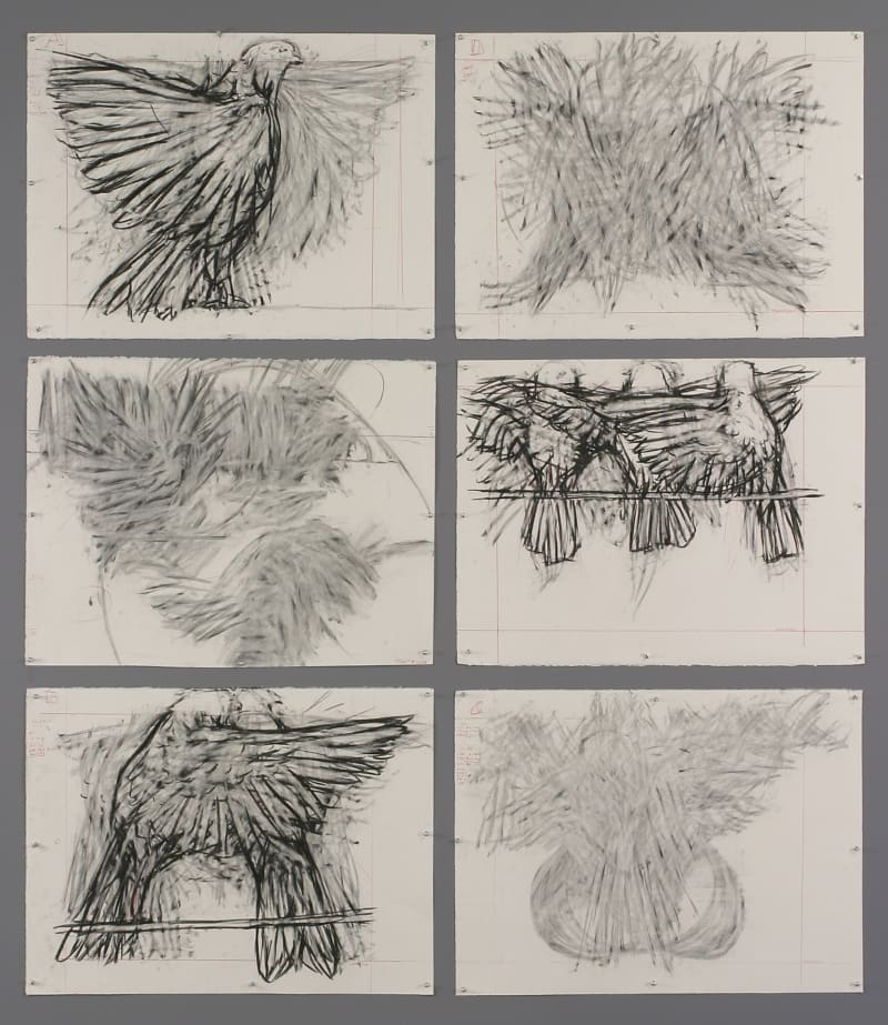 William Kentridge Drawing for 'Preparing the Flute', (Bird flapping), 2005
