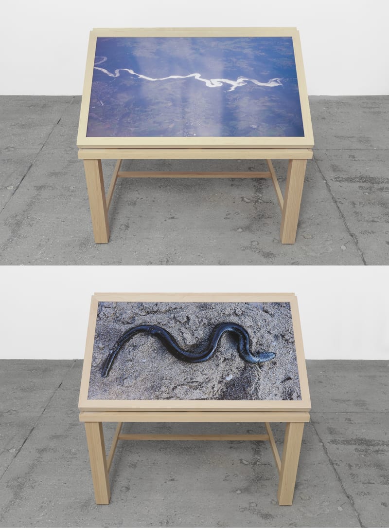 Richard Deacon Home & Away #8, 2018