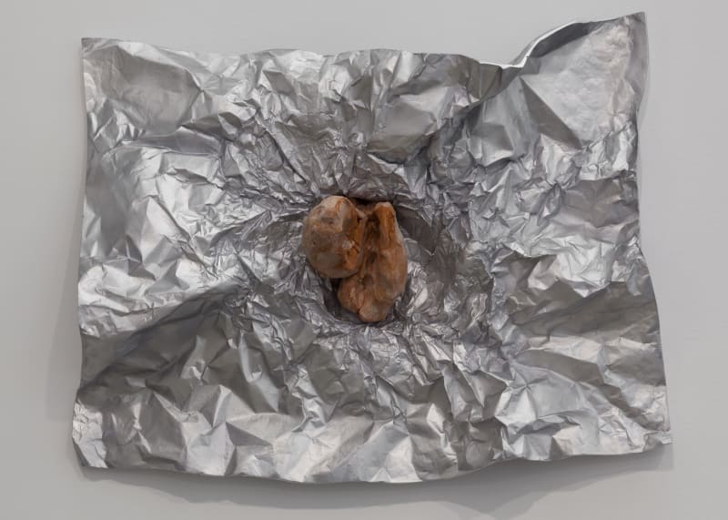 Giuseppe Penone Avvolgere la terra (To Enfold the Earth) (24), 2014