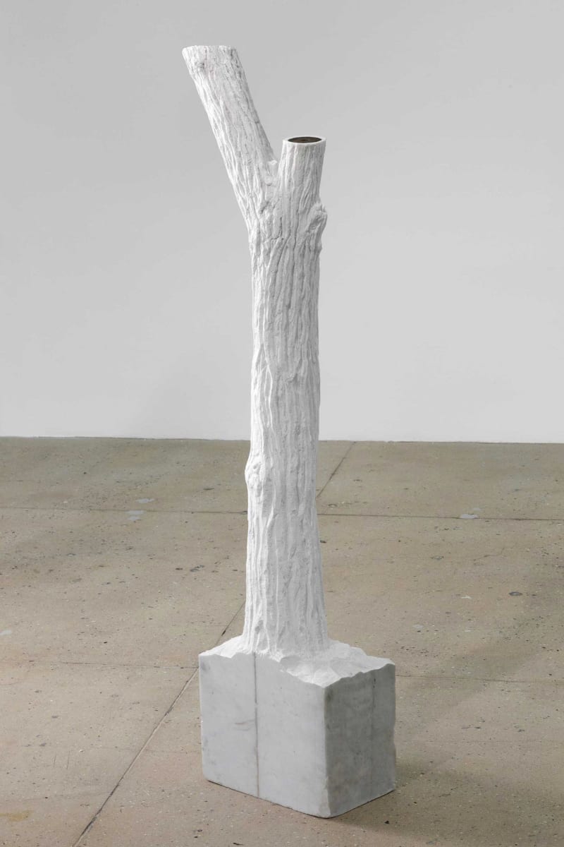 Giuseppe Penone Indistinti confini - Panarium (Indistinct Boundaries - Panarium), 2012