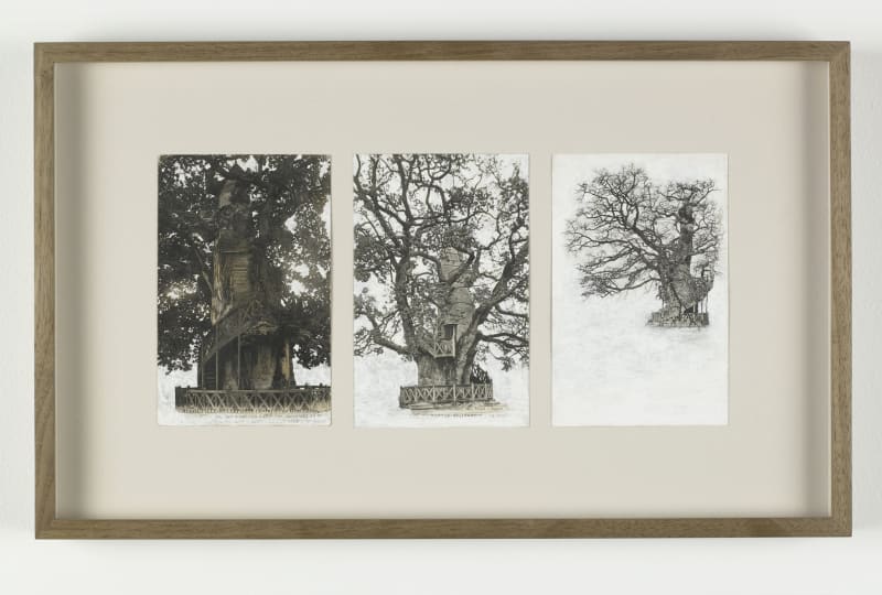 Tacita Dean Allouville (triptych), 2008