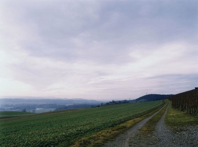 Thomas Struth Weinberg an der Thur - Nr 21, Winterthur, 1993