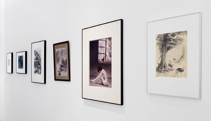 Jingshan Lang Cranes amidst Mountain Cloud