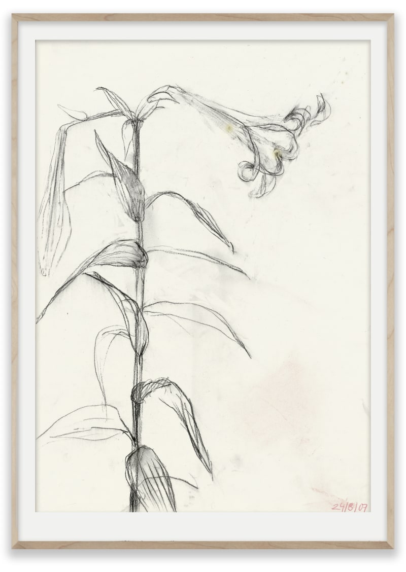 Sabine Moritz Lily 24, 2007