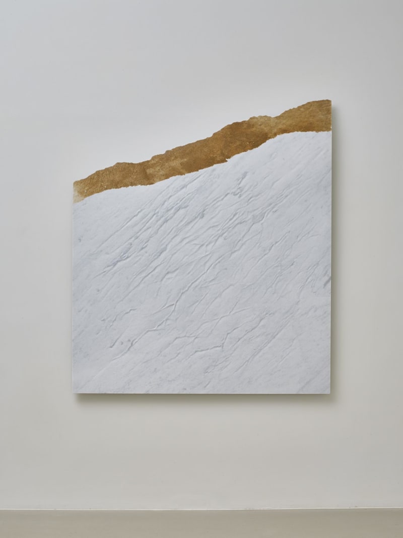 Giuseppe Penone Pelle del monte, 2012