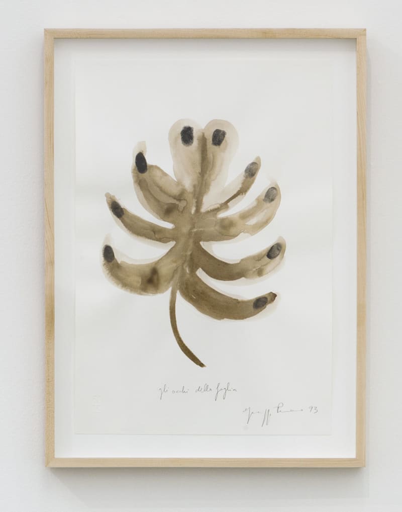 Giuseppe Penone Gli ocche della foglia (The Eyes of the Leaves), 1993