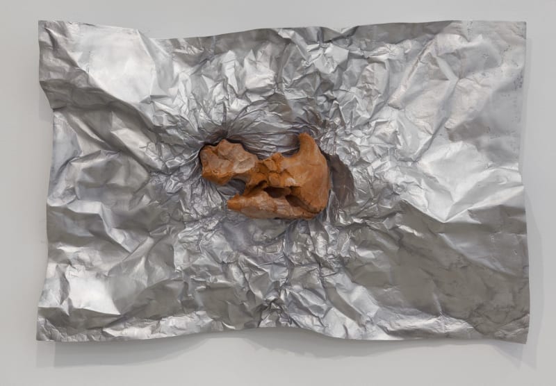 Giuseppe Penone Avvolgere la terra (To Enfold the Earth) (40), 2014