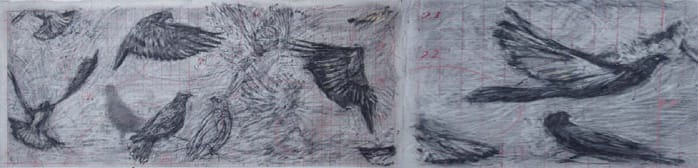 William Kentridge Drawing for 'Preparing the Flute' (Flying Birds), 2006