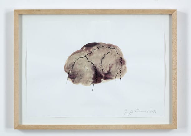 Giuseppe Penone Stitchings, 1989