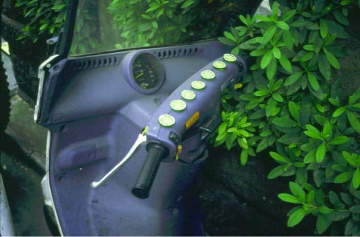 Gabriel Orozco Speed Lemons, 2001