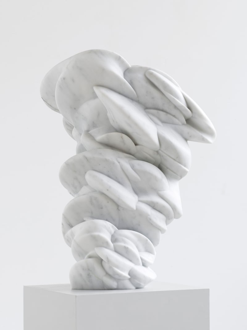 Tony Cragg | Marian Goodman
