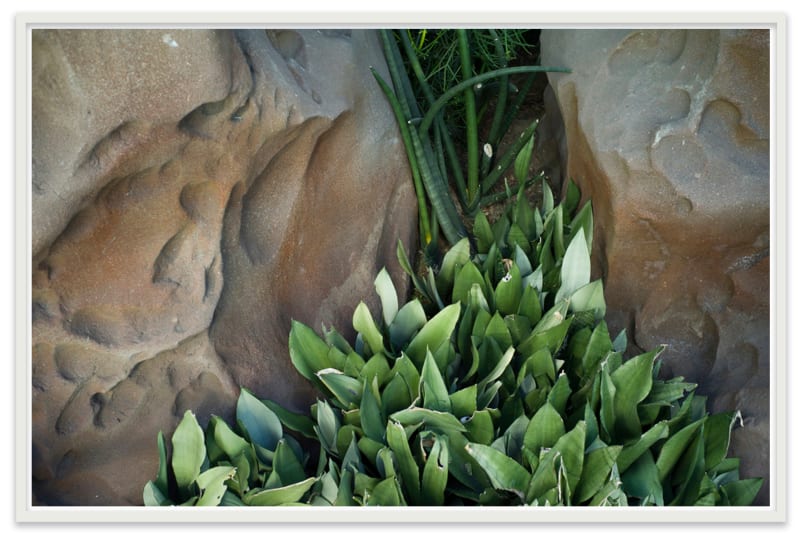 Thomas Struth Crack, Anaheim, California