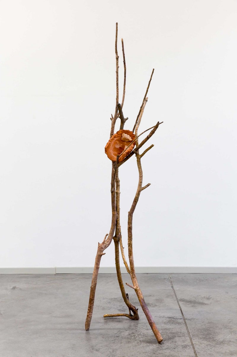Giuseppe Penone Terra su terra - Volto (Earth on Earth - Face), 2014