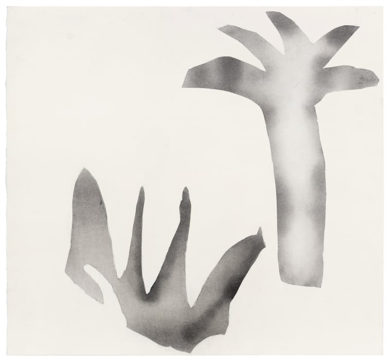 Deborah Anzinger Untitled Transmutation 29, 2025 Salvaged charcoal on paper 25 x 23 1/4 in. (63.6 x 59.2 cm)