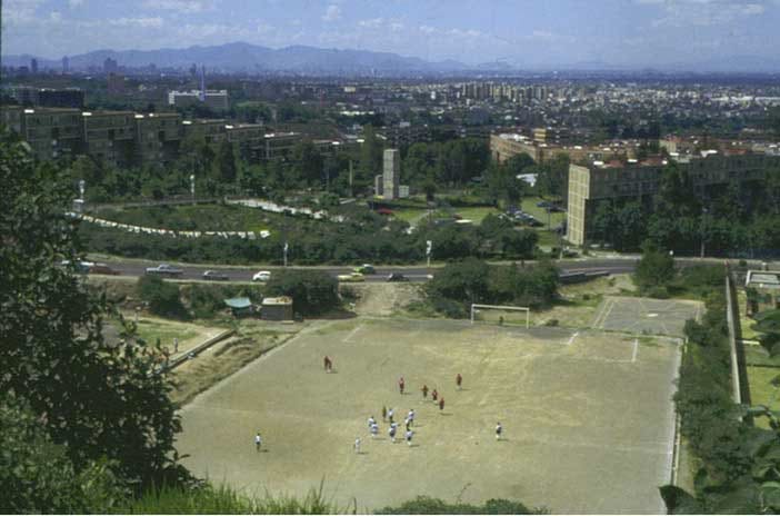 Gabriel Orozco Fútbol desde el sur, 2001