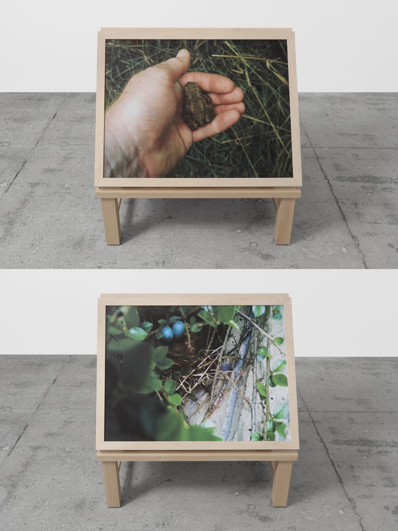 Richard Deacon Home & Away #1, 2018