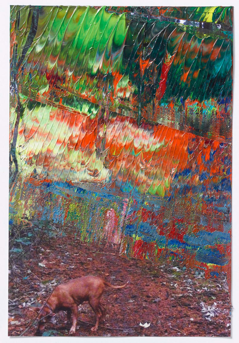 Gerhard Richter 12. Dez. 2014, 2014