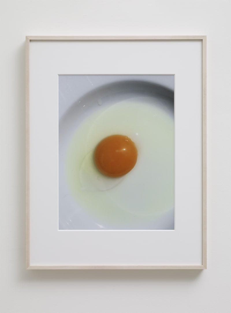 Gabriel Orozco Sunny Side Up, 2015