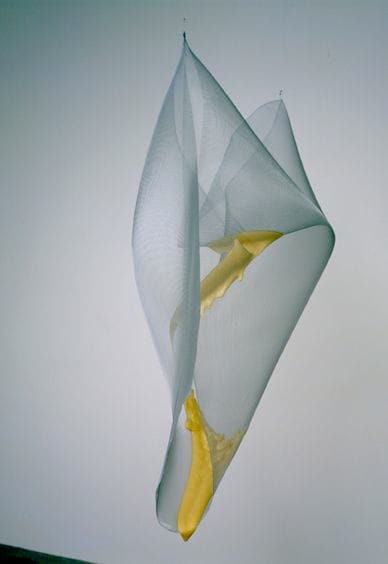 Gabriel Orozco Drop on Mesh, 2003