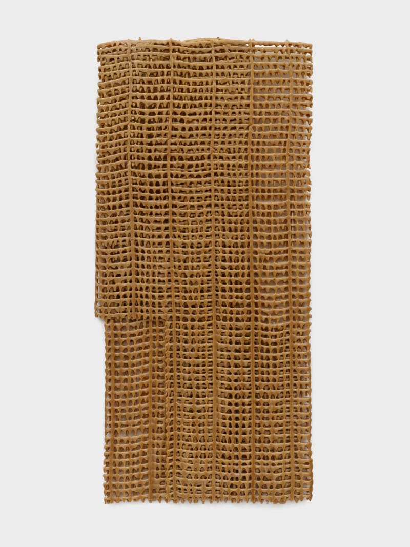 Delcy Morelos The Double Negation (La doble negación), 2008 Acrylic on cotton thread 37 1/4 x 17 3/8 x 3/4...