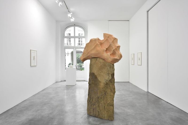 Giuseppe Penone Avvolgere la terra - Rising Earth (To Enfold the Earth - Rising Earth), 2014