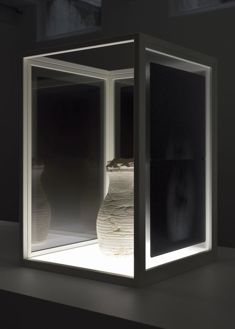 Giuseppe Penone Il vuoto del vaso, 2005