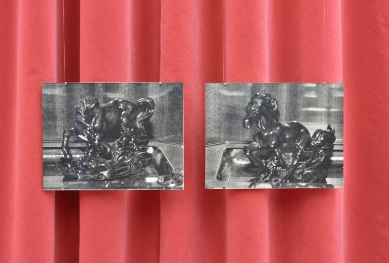 Joanna Piotrowska Untitled, 2024