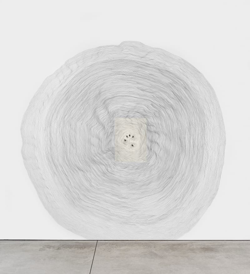 Giuseppe Penone Propagazione, 1995 - 2019