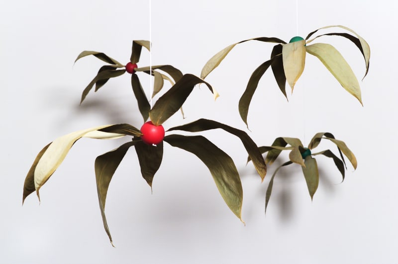 Gabriel Orozco Bamboo Balls, 2001