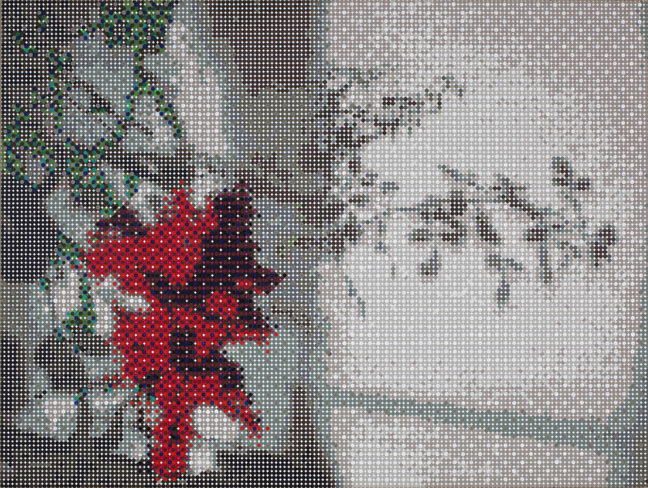 Gabriel Orozco Red Flower Shadow, 2011