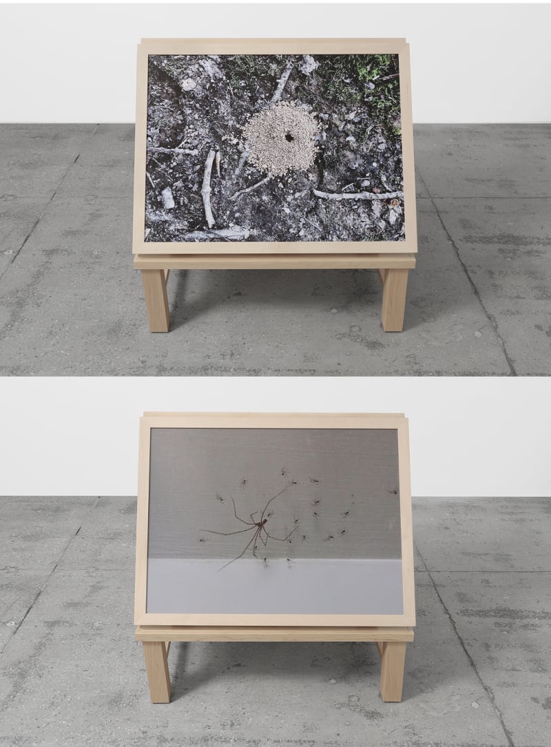 Richard Deacon Home & Away #5, 2018