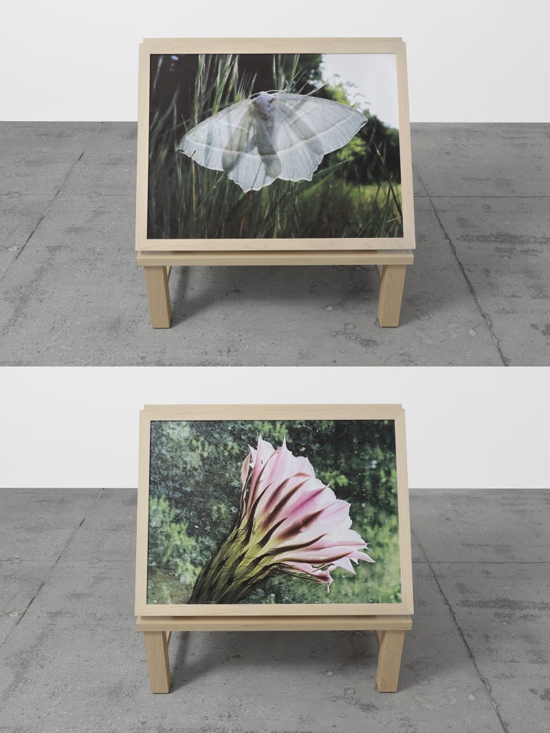 Richard Deacon Home & Away #2, 2018