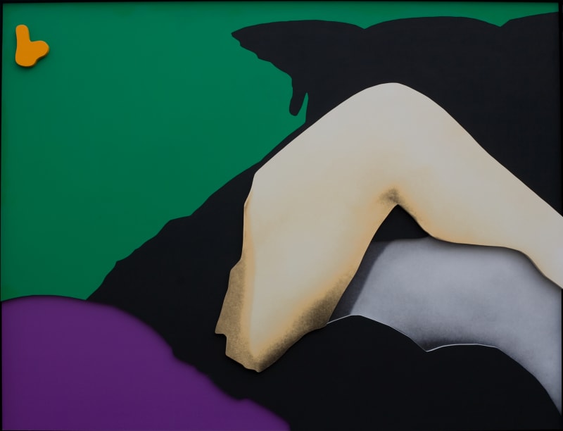 John Baldessari Arms & Legs (Specif. Elbows and Knees), etc.: Knees (with Nose), 2007