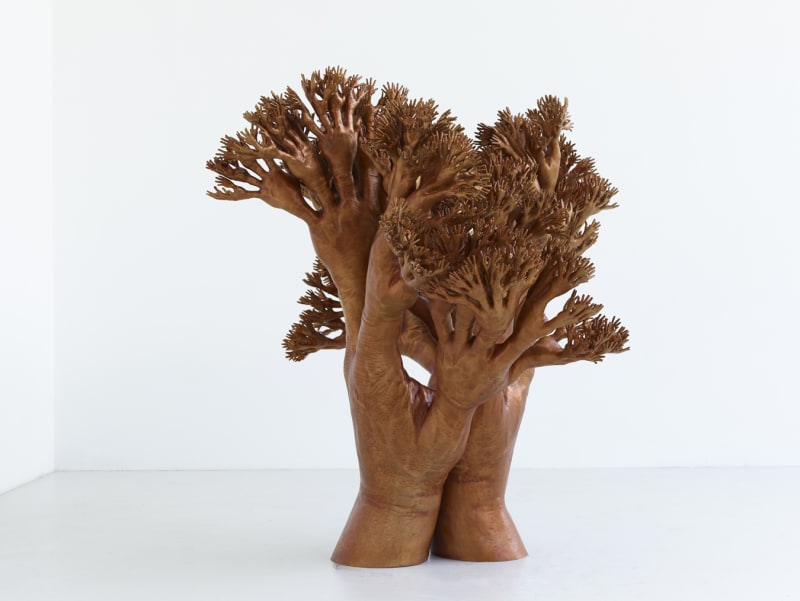 Tony Cragg Manipulations, 2017