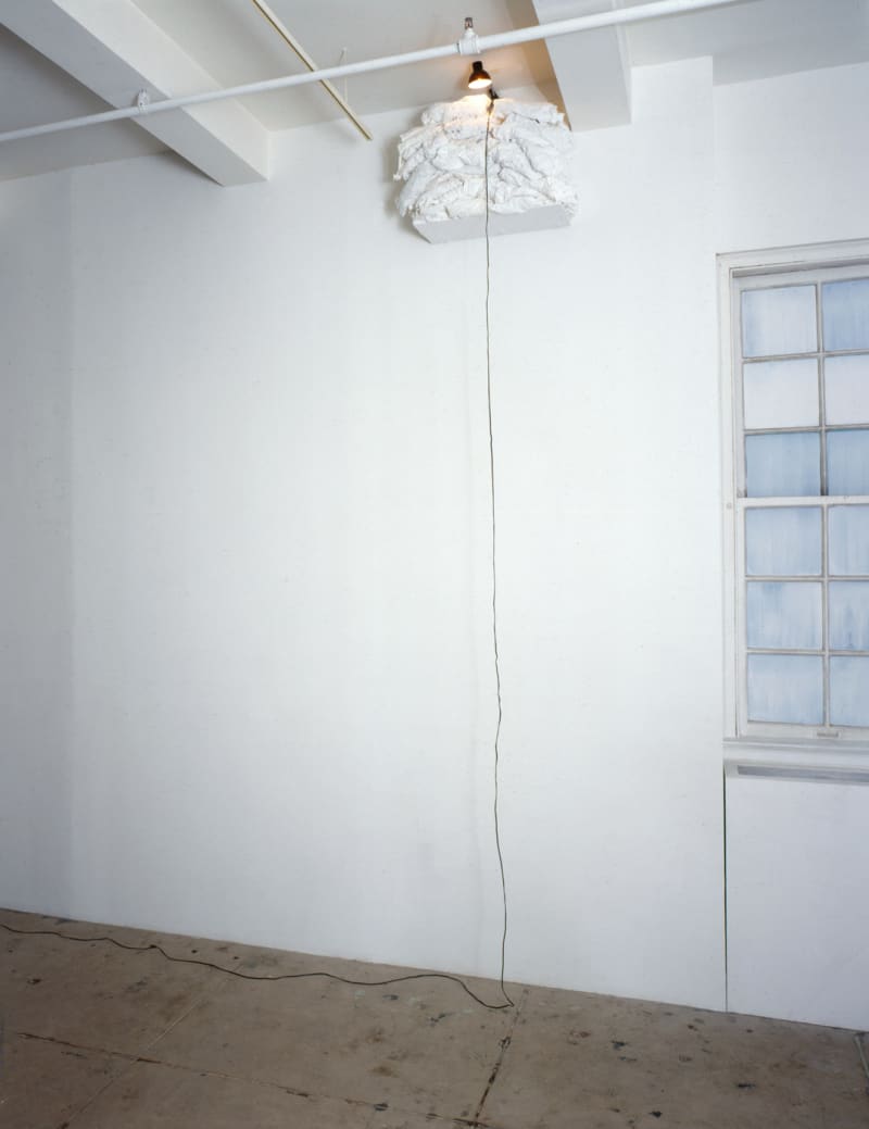 Christian Boltanski Linen Closet Dead Swiss, 1990